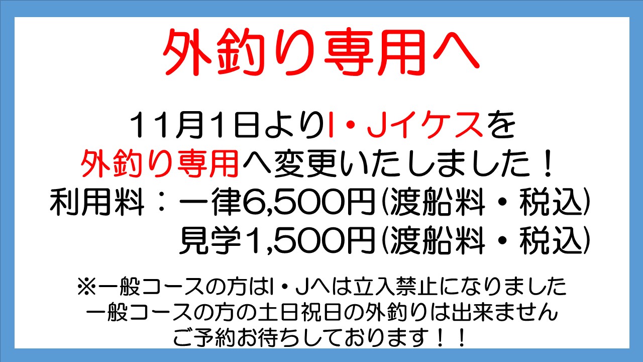 大分県佐伯市蒲江 かまえ海上釣り堀 釣っちゃ王 最新の釣果