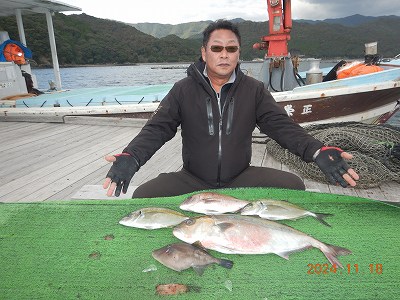 大分県佐伯市蒲江 かまえ海上釣り堀 釣っちゃ王 最新の釣果