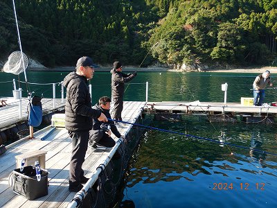 大分県佐伯市蒲江 かまえ海上釣り堀 釣っちゃ王 最新の釣果