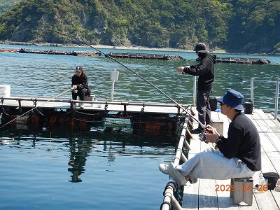大分県佐伯市蒲江 かまえ海上釣り堀 釣っちゃ王