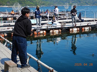 かまえ海上釣り堀 釣っちゃ王 | 観光スポット | 佐伯市観光ナビ